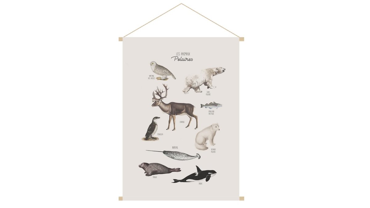 Kakemono enfant tableau en toile suspendue illustration animaux polaires L40 x H60 cm POLAR